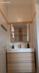 a bathroom with a sink and a mirror at Suite parentale chez Mathilde in Basse-Goulaine