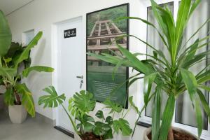 a hallway with plants and a picture of a ladder at Hotel Jaiba Premium in Terra Fôfa