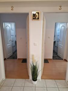 a hallway with three doors and a potted plant at Penzion Lea in Diakovce