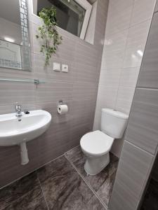 a bathroom with a toilet and a sink at Penzion Lea in Diakovce +20 photos