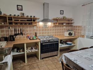a kitchen with a stove and a counter top at Penzion Lea in Diakovce