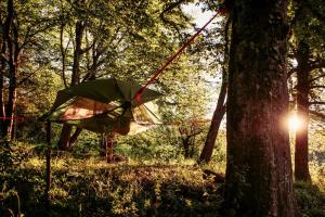 a tent is tied to a tree in a forest at Übernachtung im Baumzelt in Winterbach