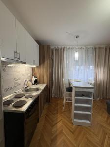a kitchen with a sink and a stove top oven at City Vibes in Subotica +6 photos