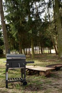 a grill sitting in a park next to a picnic table at Domek Pod Jemiołami - Mały Głęboczek in Mały Głęboczek