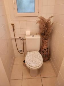 a small bathroom with a toilet and a window at Chaleureux appartement in Nîmes
