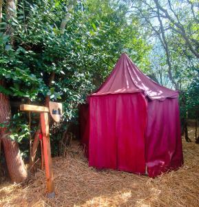 a purple tent sitting in the grass next to a tree at Le Camp du Chevalier, hébergement insolite près du zoo de Beauval et des châteaux de la Loire in Valençay