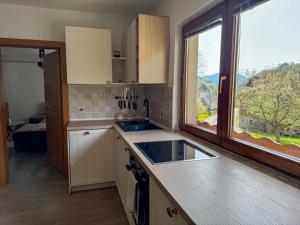 a kitchen with a sink and a window with a view at Hiša Štanfl in Osilnica +11 photos