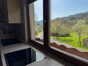 a kitchen with a large window with a view at Hiša Štanfl in Osilnica