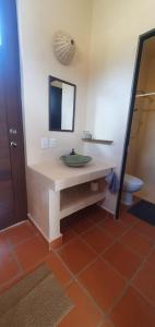 a bathroom with a sink and a mirror and a toilet at Casa Catonalco in Xalmolonco