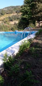 a blue swimming pool with a metal railing next to it at Casa da Madrinha - Paredes de Coura in Paredes de Coura