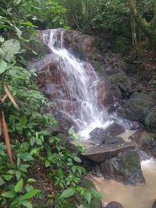 a waterfall in the middle of a forest at Hostel e Camping Yoshida Naturismus in Ibiúna