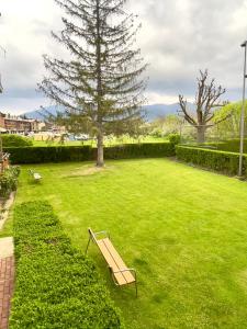 a park with a bench in the grass with a tree at CaL QuEROL Llivia 2 piscina, 8 pax, 2 baños y parking in Llivia