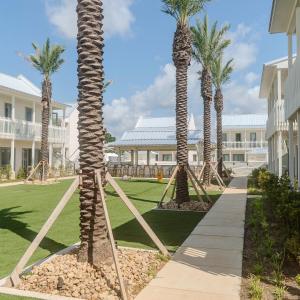 a row of palm trees in front of a building at The Pass Bungalows in Pass Christian