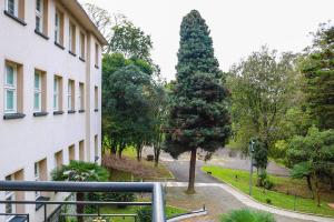 a view of a tree next to a building at Villa São Carlos in Caxias do Sul