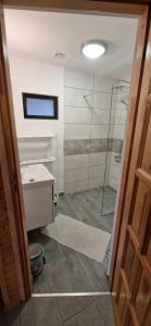 a bathroom with a glass shower and a sink at Ostoja pod Orlami in Kołczewo +37 photos