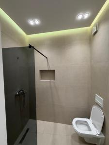 a bathroom with a shower with a toilet and a shower at Tirana Urban Nest in Tirana +19 photos