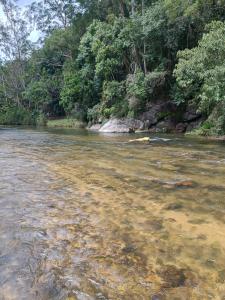 a river with clear water and trees in the background at Hospedagem do Rio in Nova Friburgo