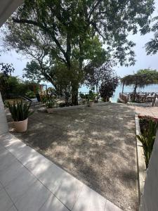 a concrete walkway with a tree and the water at Orika del Mar Hotel in Isla Grande