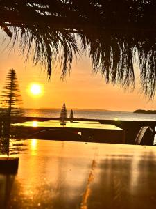 a sunset over the ocean with a palm tree at Orika del Mar Hotel in Isla Grande