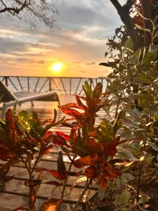 a view of the sunset from a table with flowers at Orika del Mar Hotel in Isla Grande