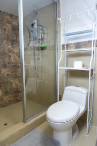 a bathroom with a toilet and a shower at Comfortable apartment in Urubamba in Urubamba