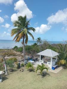 a palm tree and a gazebo on the beach at Fijay Bay Inn in Carriacou