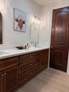 a bathroom with a sink and a cow picture on the wall at Dream Casa Blanca in Harlingen +53 photos