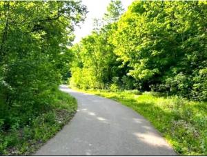 a winding road with trees on either side at Quite Cozy Private Room In Vaughan with Private Bathroom and Free Parking in Vaughan
