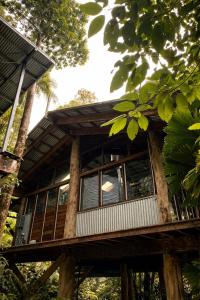 a tree house with large windows in a forest at Firefly in Diwan
