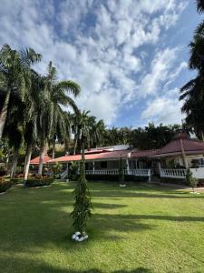 a palm tree in front of a building at Finca San José, Los Naranjos Santa Marta in Santa Marta
