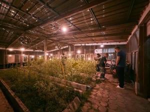 a group of people standing in a greenhouse with plants at Muangkham Peaceandlove Farm in Ban Doi Hang