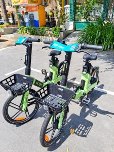two green bikes parked next to each other at Cherry Villa in Hue