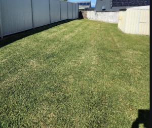 a yard with green grass next to a fence at Oscar's at Banora in Kurrara