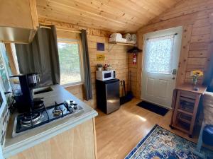 a kitchen with a stove and a microwave in a cabin at Rustic Moose Cabin at Moose Tracks Lodging in Kenai +4 photos