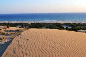 an aerial view of a desert with the ocean at Dardanos Hotel in Patara