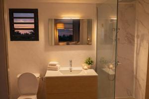 a bathroom with a toilet and a sink and a shower at Ti kaz du piton in Cilaos