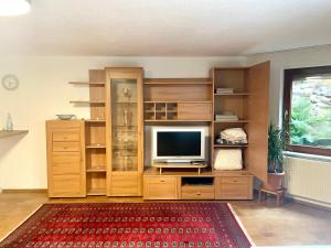 a living room with a television on a wooden entertainment center at Eislinger Oase in Eislingen
