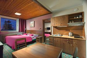 Kuchyň nebo kuchyňský kout v ubytování Hotel Tetřeví Boudy + 37 fotografií