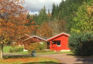 eine rote Hütte mitten im Wald in der Unterkunft Pucks Glen Lodges, Rashfield, by Dunoon in Dunoon