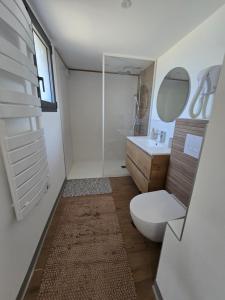 ein Badezimmer mit Toilette, Waschbecken und Spiegel in der Unterkunft Chicken Fields Good ! in Auch + 17 Fotos