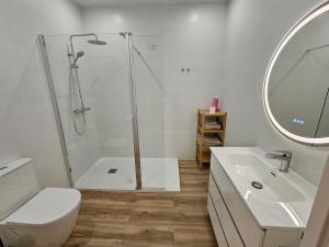 a bathroom with a shower and a toilet and a sink at Apartamento Plaza de Armas 2 in Ferrol