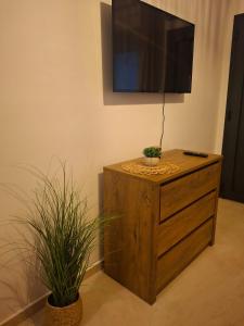 a television on top of a wooden dresser with two plants at Lemmy Аpartment in Ofrínion