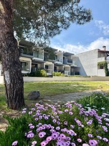 a building with pink flowers in front of it at CubeStudio21 in Kallithea Halkidikis