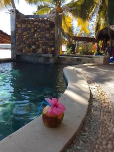 a coconut with a flower on it next to a swimming pool at Le Lagon Bleu in Antsatrakolo