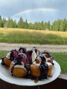 a plate of donuts with blueberries and whipped cream at Cabana Duma la munte cu ciubar in Dealu Negru +21 photos