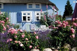 a blue house with flowers in front of it at Alte Boddenkate in Born +5 photos