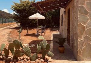 a patio with a table with an umbrella and cactus at Balearic Sunset Apartment in Santa Gertrudis de Fruitera