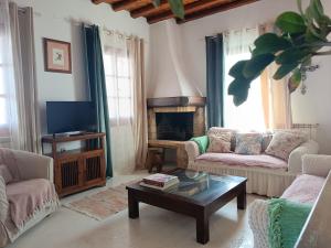 a living room with two couches and a fireplace at Villa Rahes Kofini in Mykonos