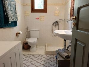 a bathroom with a toilet and a sink at Villa Rahes Kofini in Mykonos +35 photos