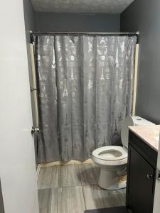 a bathroom with a toilet and a shower curtain at Sweet spot Stone Mountain in Stone Mountain +1 photo